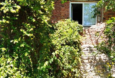 Casă cu 3 camere în Brusturi - 10