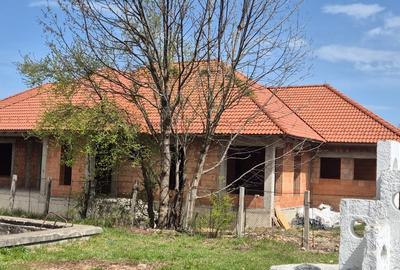 Casă individuală cu 5 camere în Central