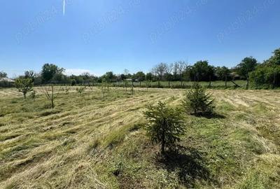 Teren de 1424 mp, în Bărcănești - 2