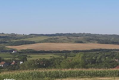 Teren de 894 mp, în Central - 3