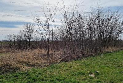 Teren intravilan in Paulesti 2700 mp 33000 Euro - 3