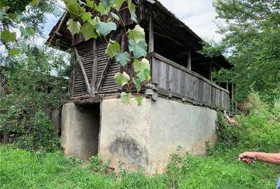 Casă cu 2 camere în Vârvor - 1