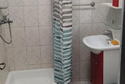 Apartament 2 camere, 60 mp, semidecomandat, balcon, metrou, Nicolae Grigorescu - 6