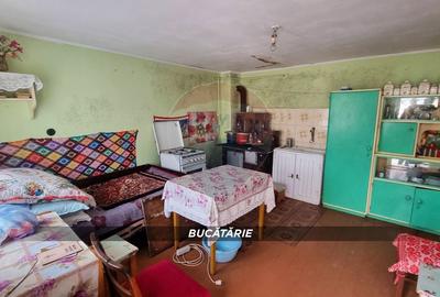 Casă cu 3 camere cu Teren 2460 Mp în Borlești - 7