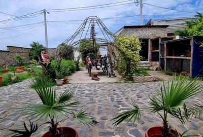 Casa parter cu teren de 1400 mp in Bariera Valcii aproape de drumul expres - 5