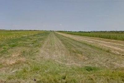 Teren extravilan cota parte 1/3 Cernatesti , ID: R2586146 - 1