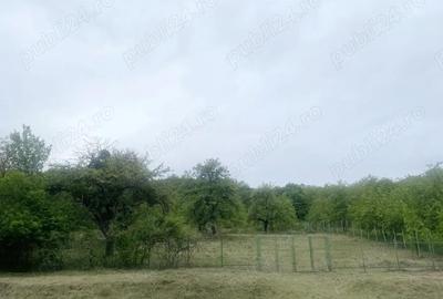 Casă cu 4 camere cu Teren 9000 Mp în Cornești - 4