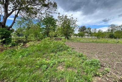 Casă individuală cu 4 camere cu Teren 4430 Mp în Tecucelu Sec - 15