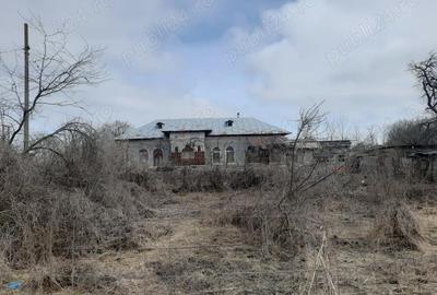 Casă cu Teren 4000 Mp în Poienarii Burchii - 1