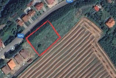 Teren intravilan construibil , în comuna Ciugud - sat Limba, jud Alba