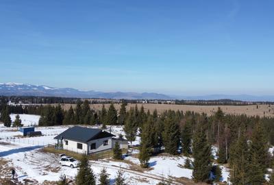 Spațiu comercial, în Beliș - 1