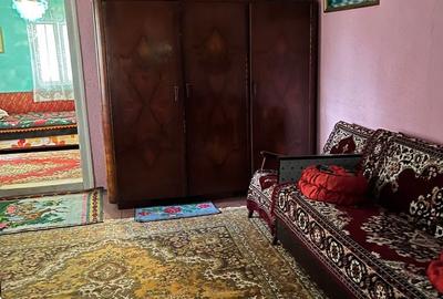 Casă cu 5 camere cu Teren 1452 Mp în Balta Albă - 9