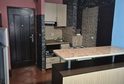 Apartament cu 2 camere semidecomandat în Șega - 5