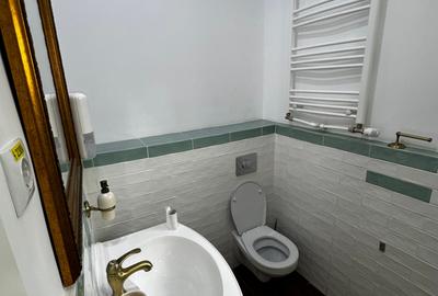 Vila individuala nou renovata ideala  activitati comerciale,birou,studio - 19