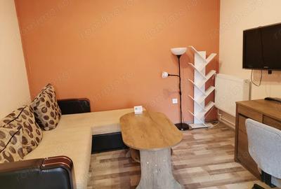 Apartament 2C Podu de Fier - 6
