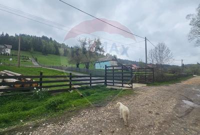 Teren 1,041mp Fundatica / Drumul Fundatica - 5