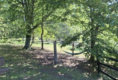 Casă cu 6 camere cu Teren 2267 Mp în Iedera de Sus - 13