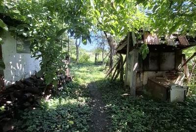Casa 6 camere, Garaj , Teren 5000 MP - 9