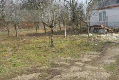 Casă cu 3 camere cu Teren 900 Mp în Central - 7