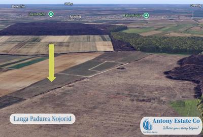 Oportunitate de investitie - Teren Cihei, langa Padurea Nojo - 4