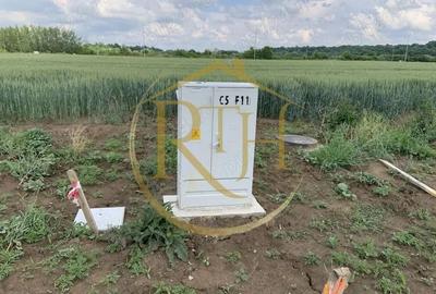 ? Teren de vânzare în Ghiroda cu toate utilitatile trase - Zona Bistra - 4