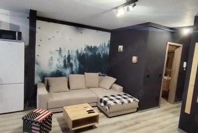 Apartament cu 2 camere semidecomandat în Nord - 7