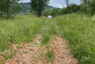 Casa ?i teren de vanzare - 4