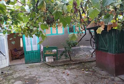 Vand casa Vand casa - 7