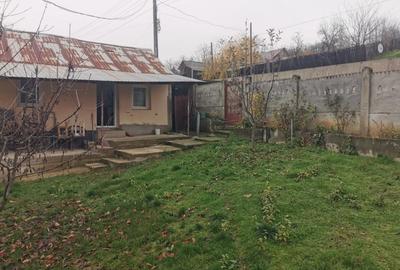 Casă individuală cu 4 camere cu Teren 7000 Mp în Argetoaia - 1