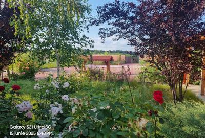 Casă cu 10 camere cu Canalizare în Teișori - 41