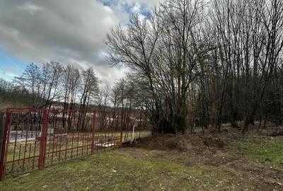 Teren de 844 mp, în Moșoaia - 3