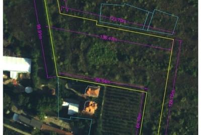 Teren Construcții intravilan de 10000 mp, în Cârcea