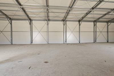 Hale noi in zona Progresul, Jilava - 2