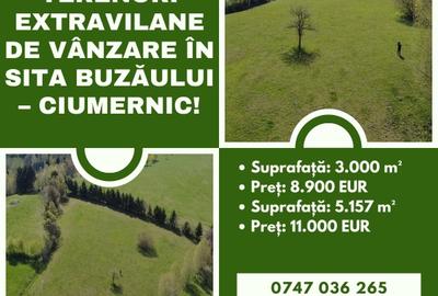 Teren extravilan de 8157 mp, în Sita Buzăului