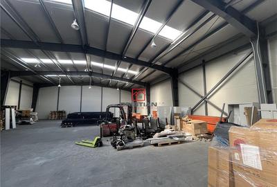 Depozit/hala/spatiu industrisl Jilava - Giurgiului - Progre - 13