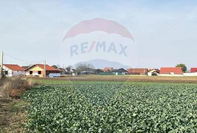 Teren intravilan de vanzare, 11.600 mp Tarian, Giri?ul de Cri? - 1