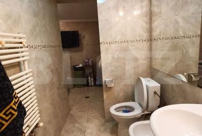 Apartament cu 3 camere decomandat în Brazda lui Novac