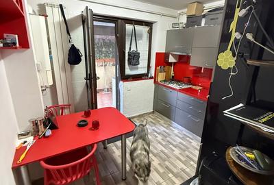 Apartament 3 camere cu gradina  Baba Novac Sector 3 - 17