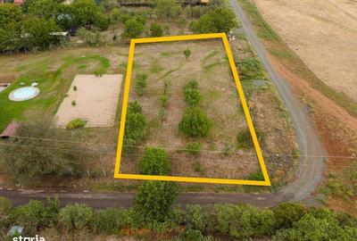 Spațiu comercial, în Murani - 4