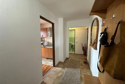 Apartament cu 2 camere decomandat în Luncă - 22