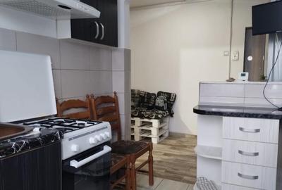 Apartament cu 2 camere semidecomandat în Ultracentral - 2