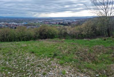 Teren Intravilan | Constructii | 734 mp | Baia Mare | Strada Miron Costin - 7