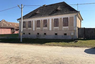 Casă cu Teren 10000 Mp în Băla - 4