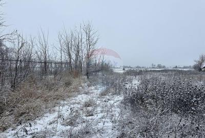 Teren de 7200 mp, în Bodești