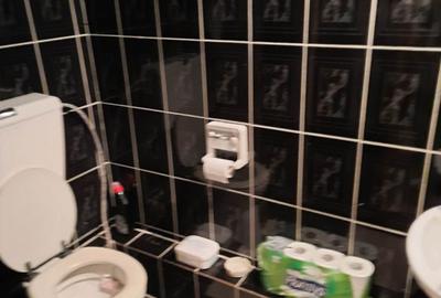 Apartament cu 3 camere decomandat în Slatina-Timiș - 2
