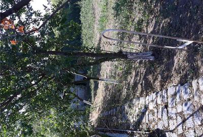 Casă în Bâra - 4