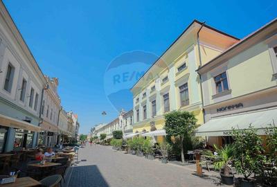 De vanzare -- Spatiu comercial parter 409 mp, Vasile Alecsandri - 13