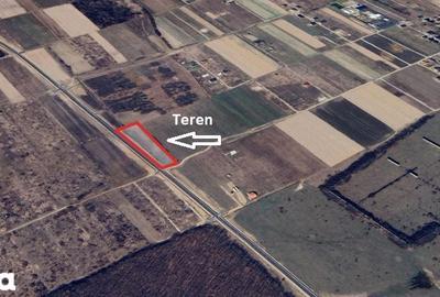 Teren de 9196 mp, în Sânmartin - 4