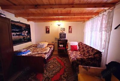 Cabana, anexe si 2000 mp teren intravilan in Taratel, Brad - 6