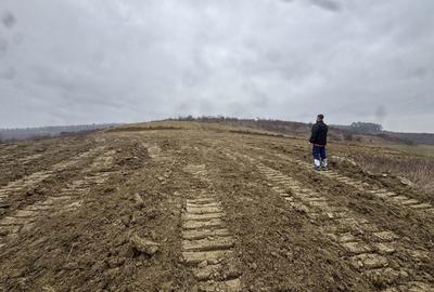 Teren de 1000 mp, în Livezeni - 8